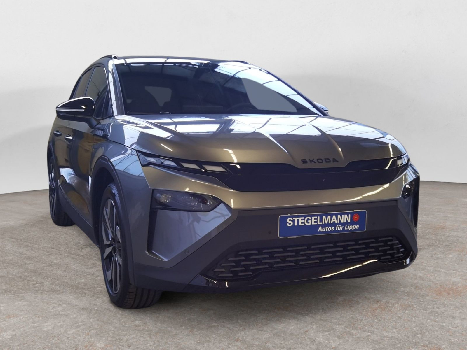 diagonal-frontansicht-aussen