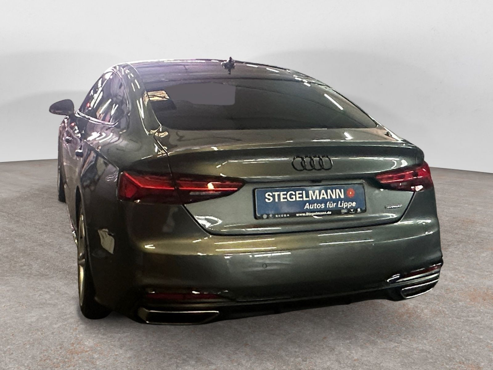 diagonalansicht-hinten-aussen