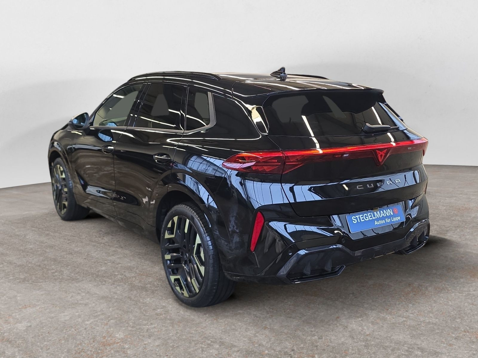 diagonalansicht-hinten-aussen