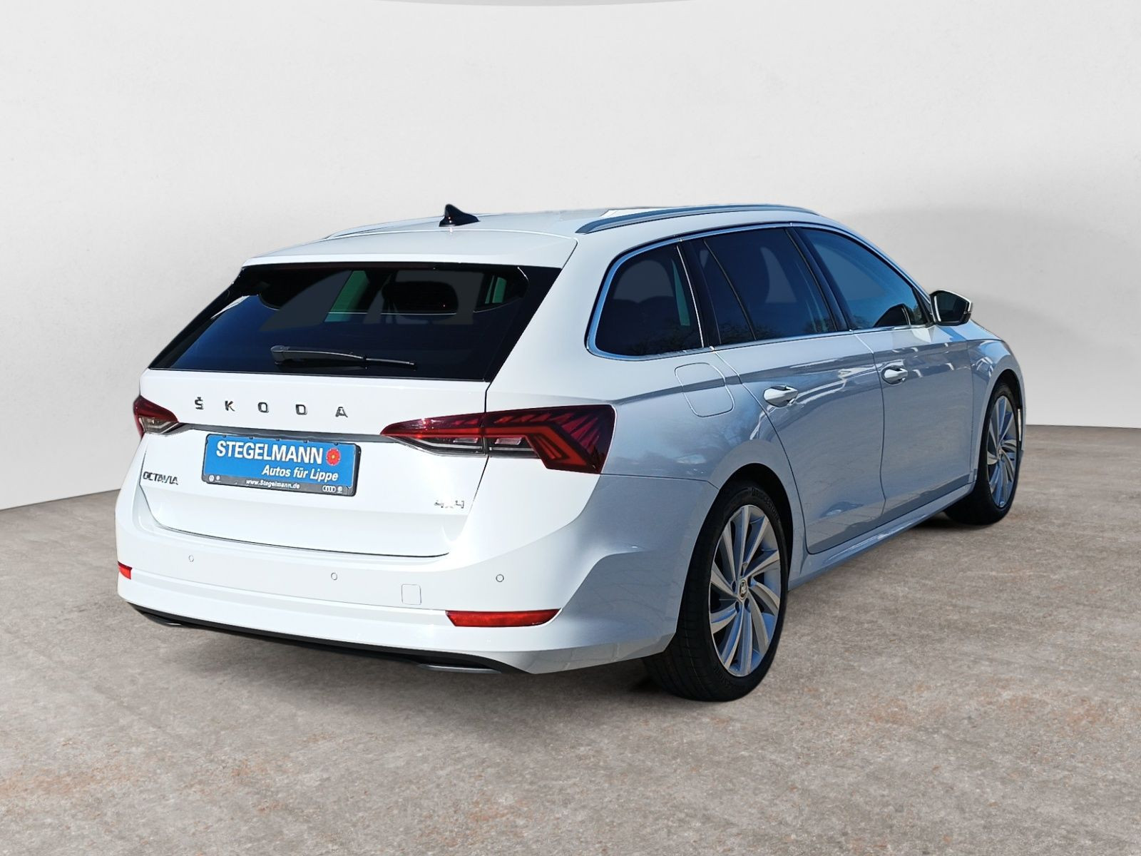 diagonalansicht-hinten-aussen