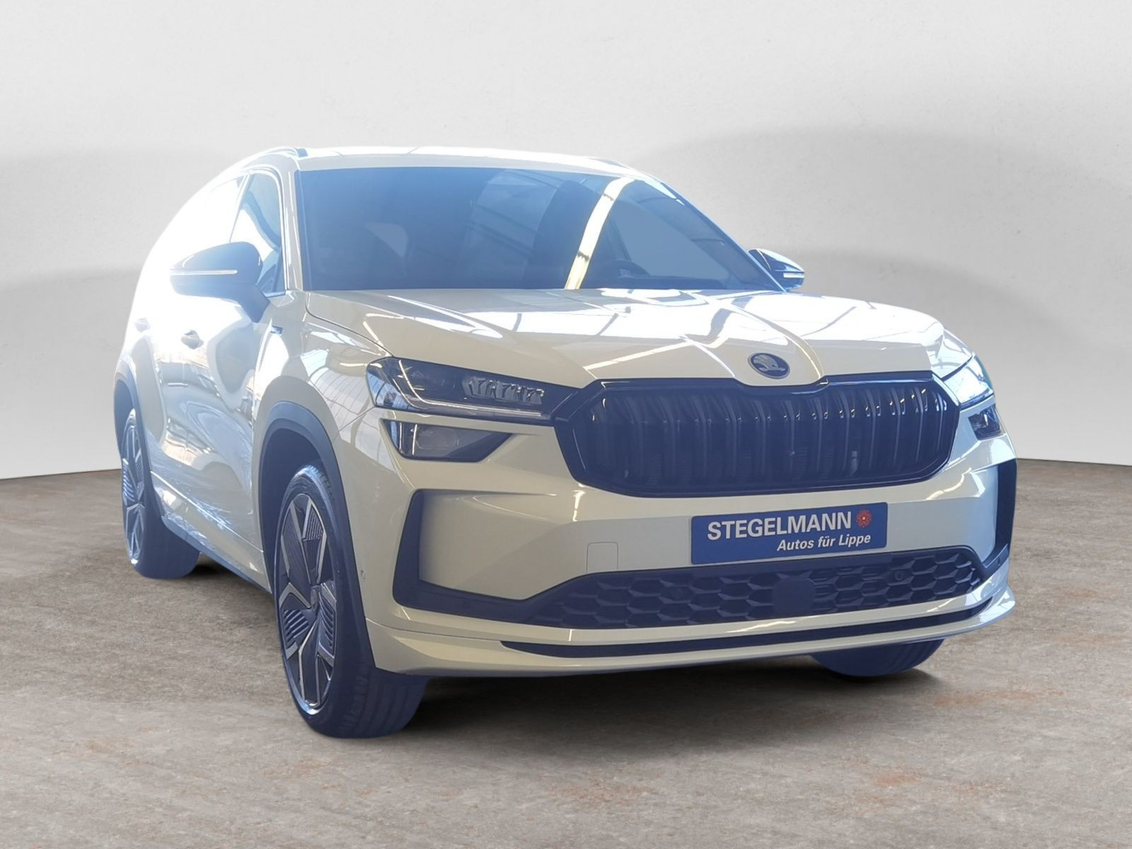 diagonal-frontansicht-aussen