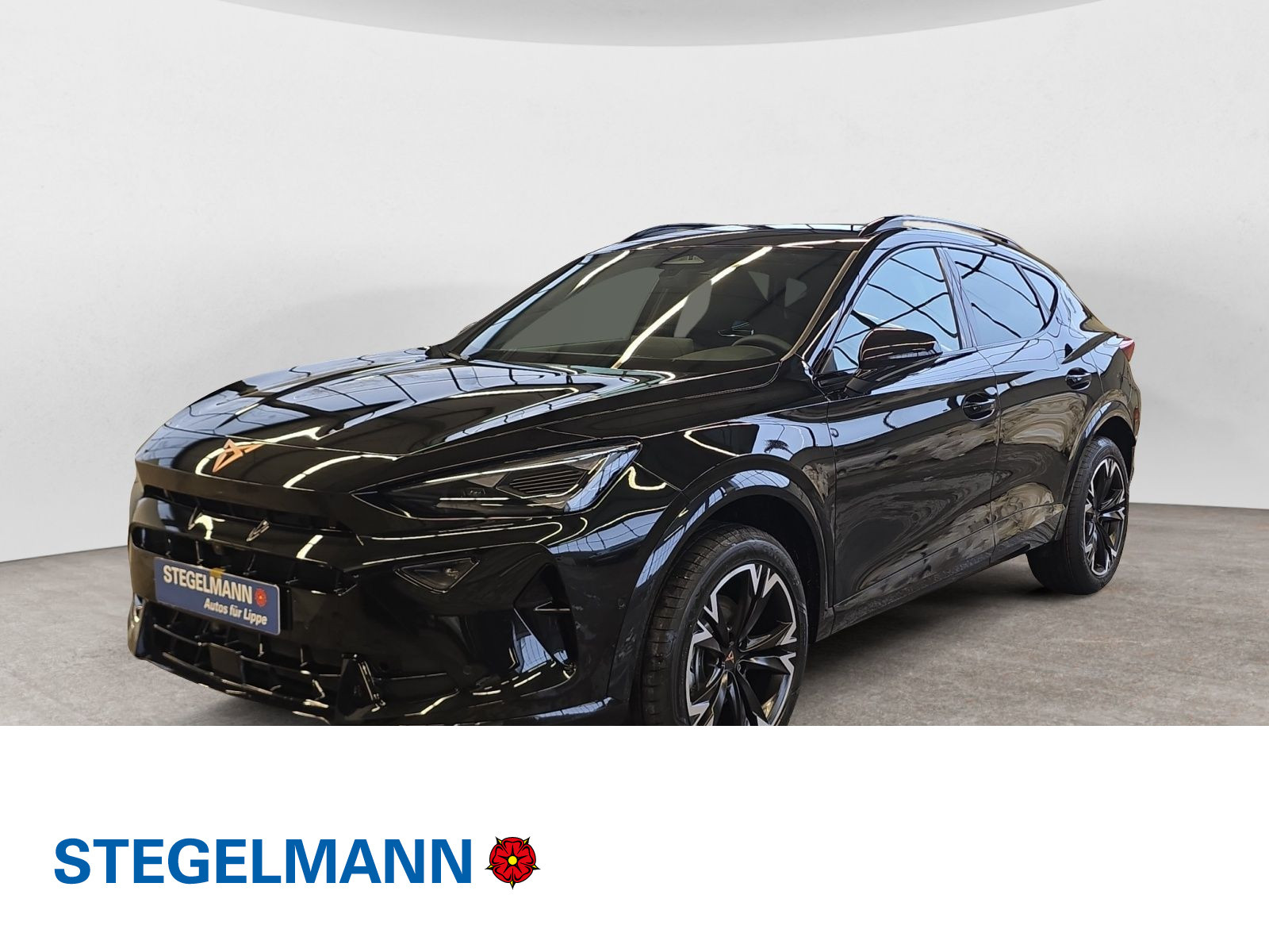 diagonal-frontansicht-aussen