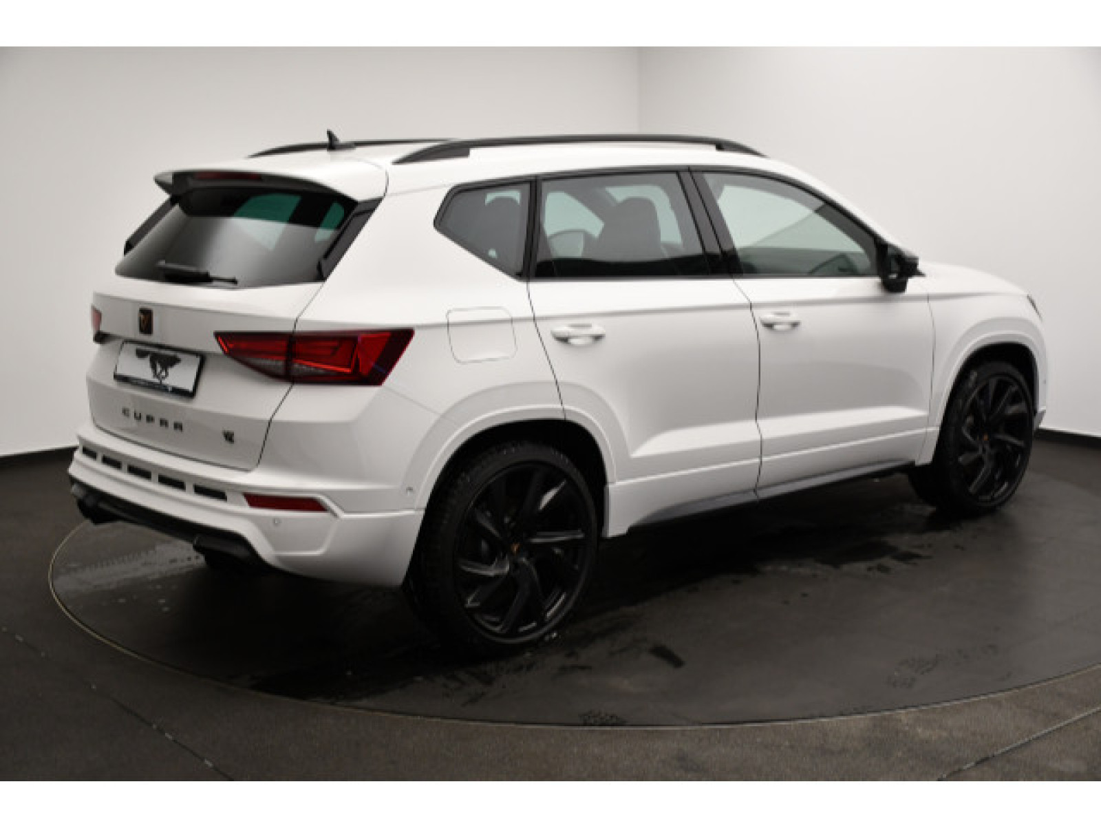 diagonalansicht-hinten-aussen