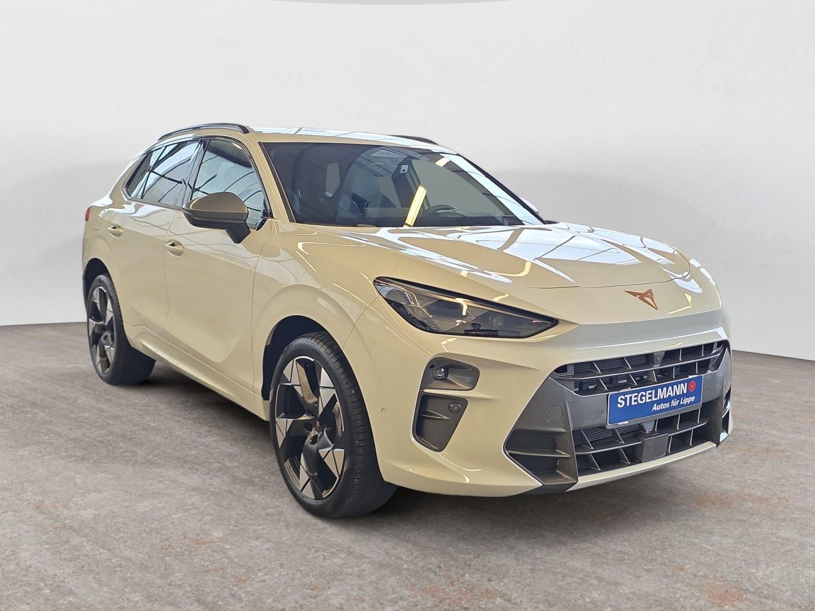 diagonal-frontansicht-aussen