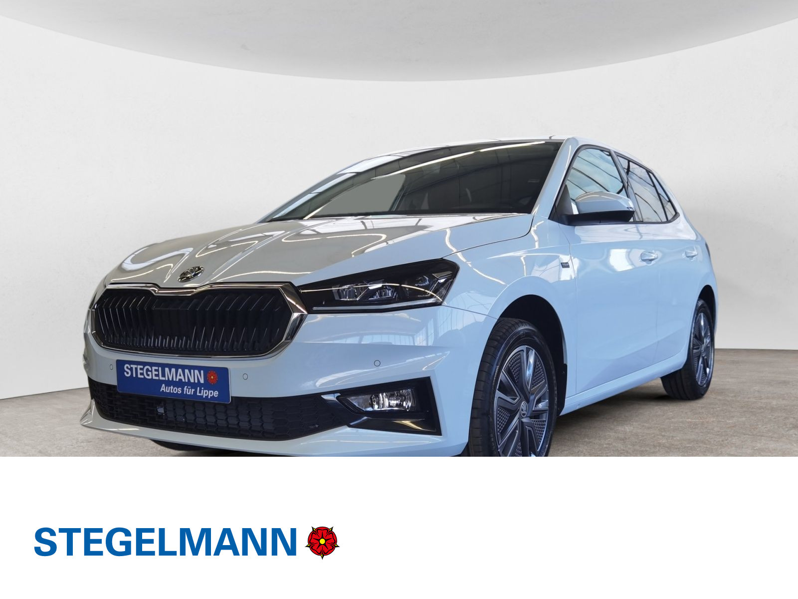 diagonal-frontansicht-aussen