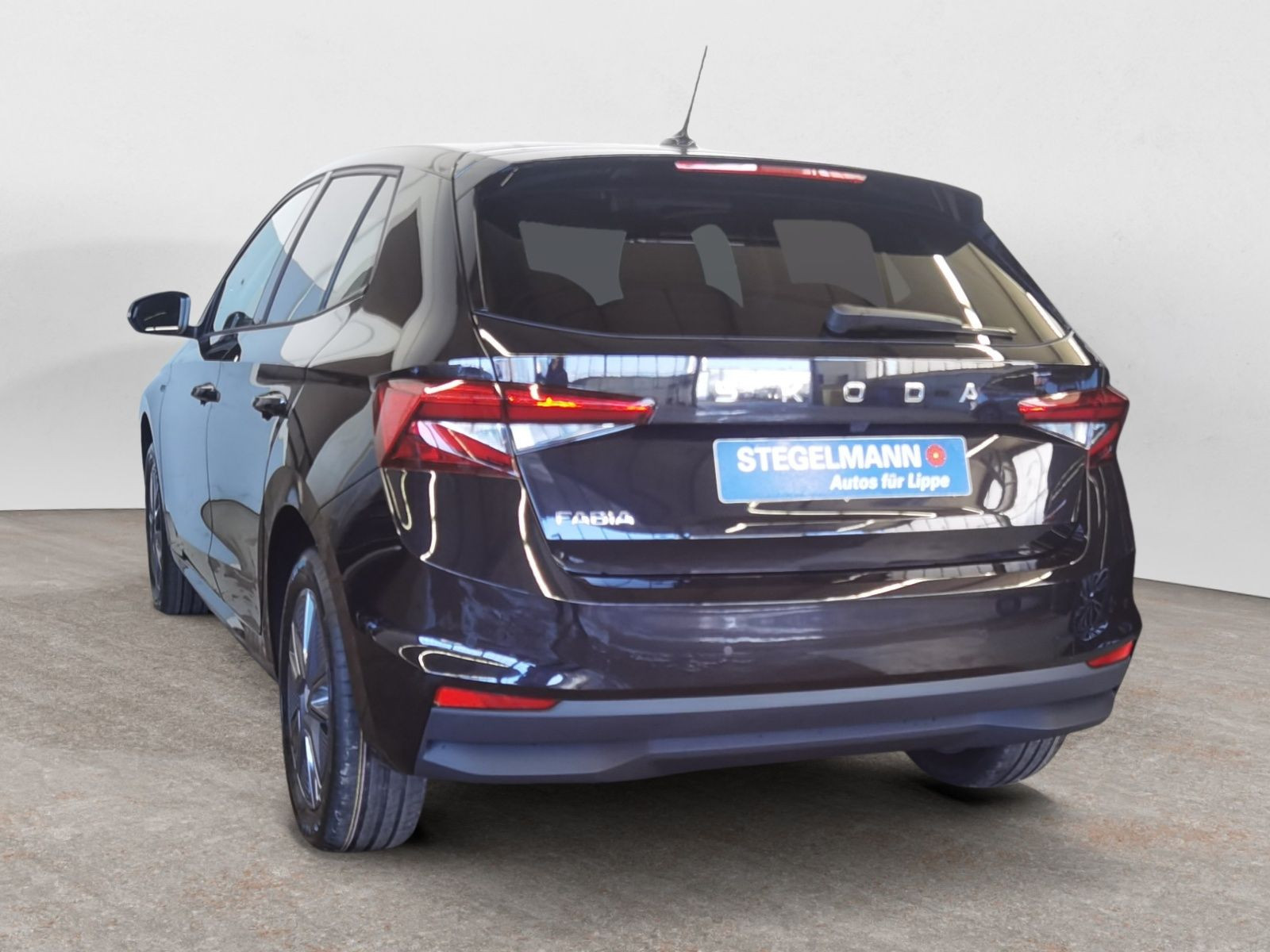 diagonalansicht-hinten-aussen