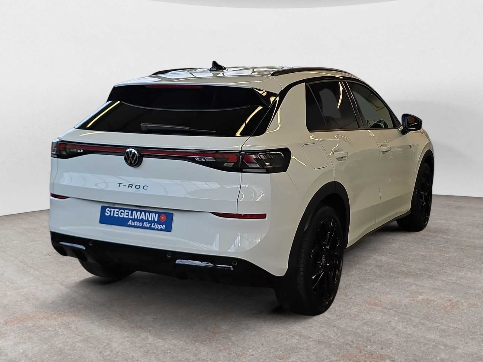 diagonalansicht-hinten-aussen