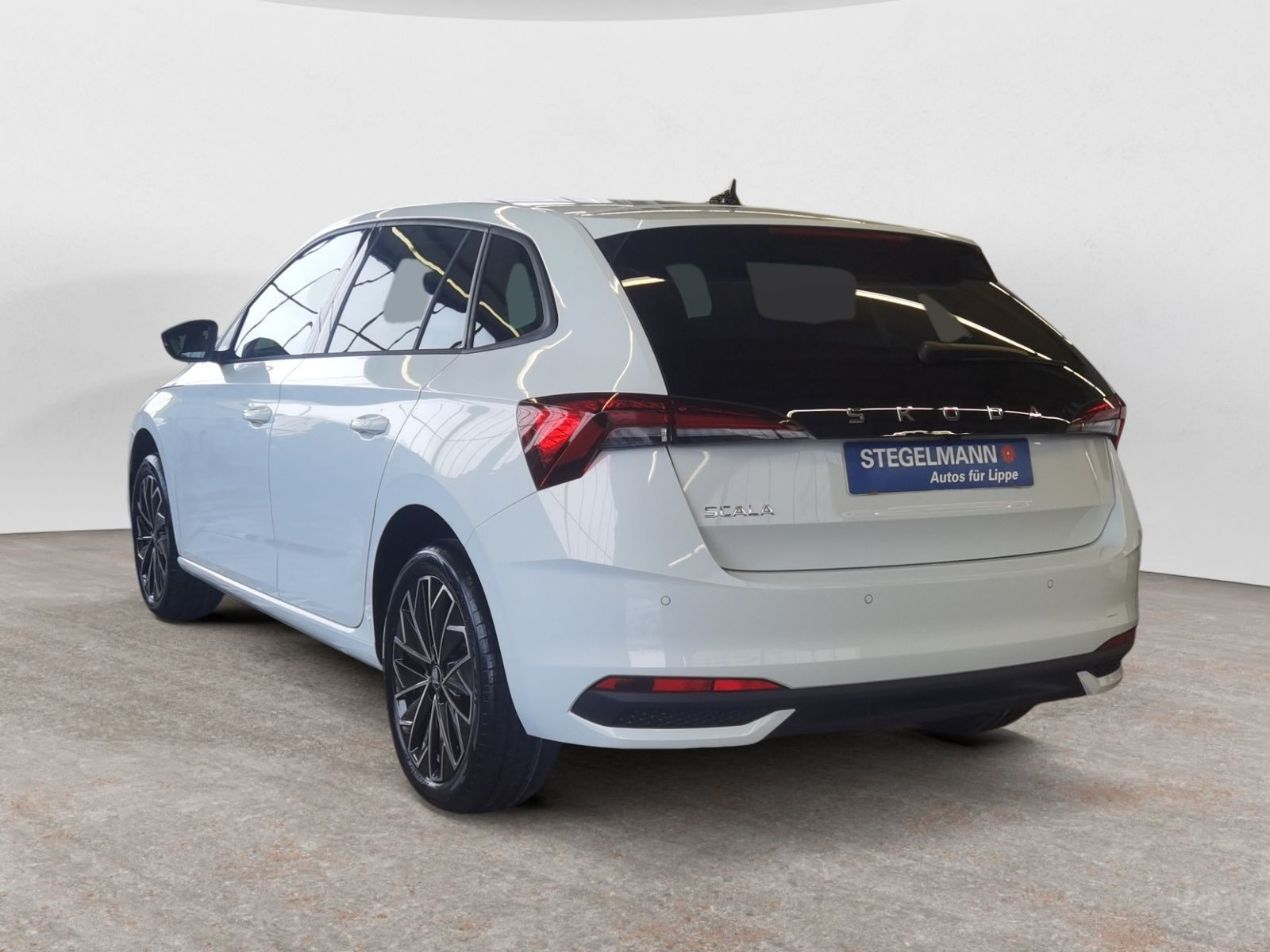 diagonalansicht-hinten-aussen