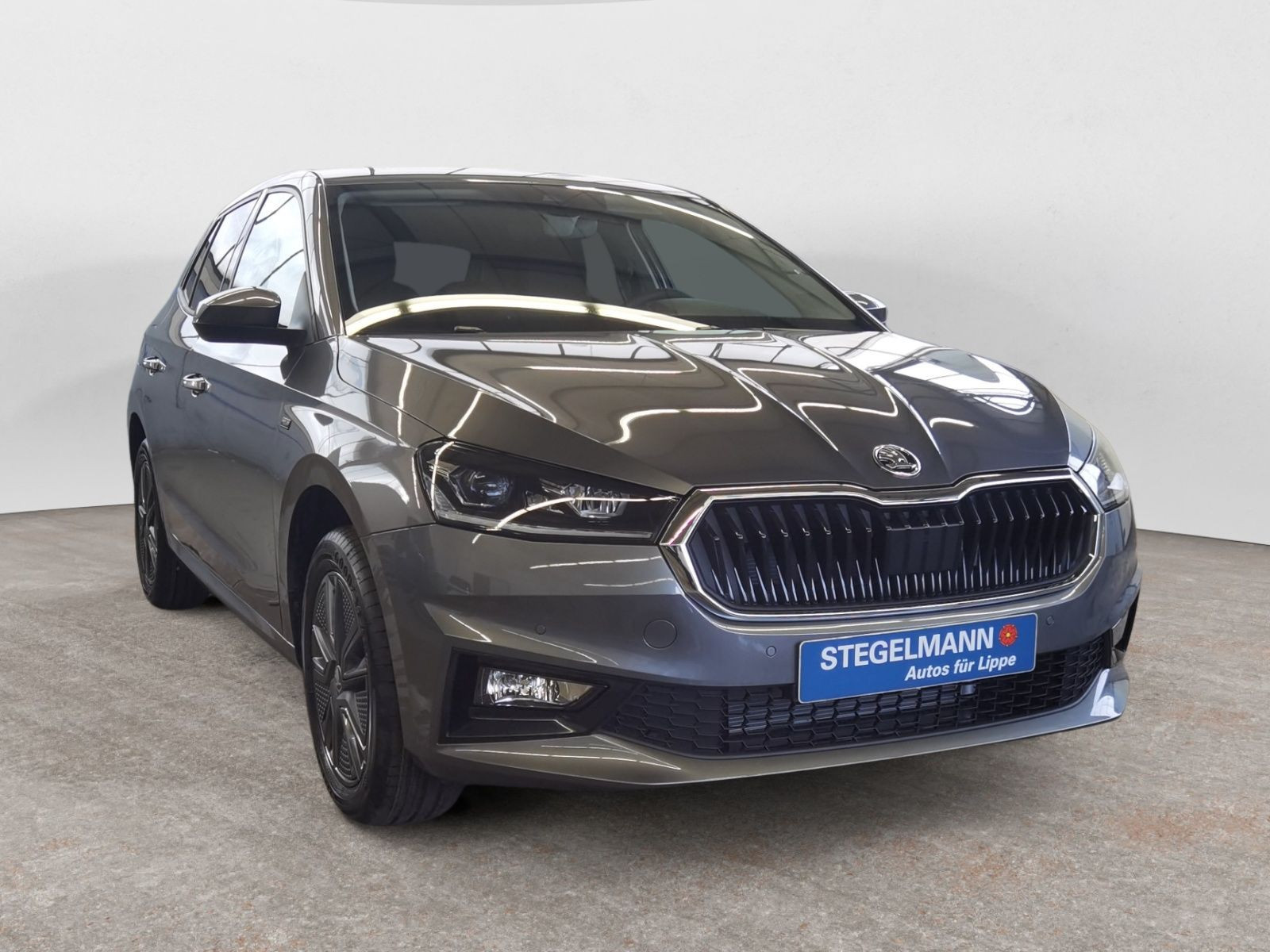 diagonal-frontansicht-aussen