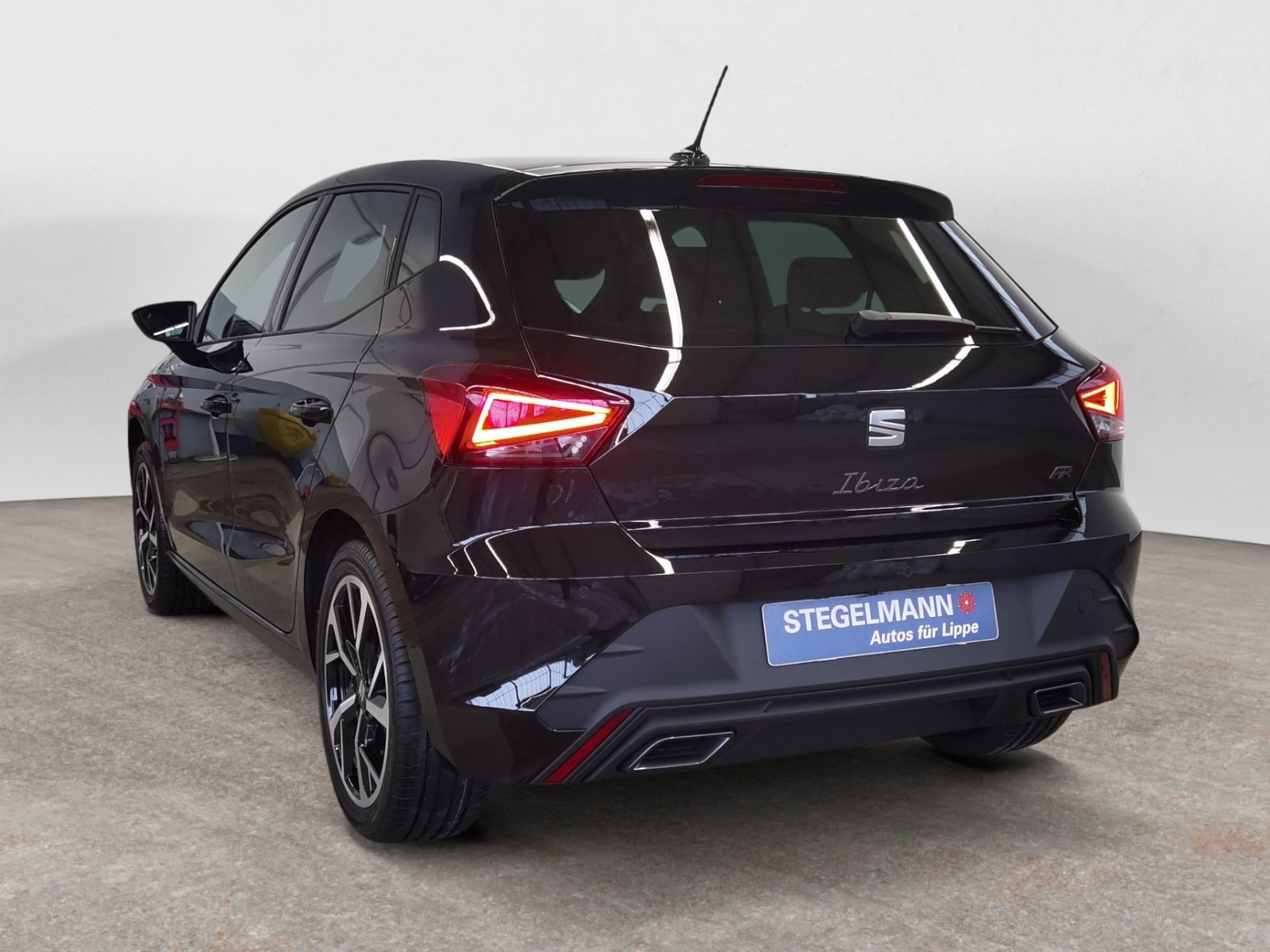 diagonalansicht-hinten-aussen