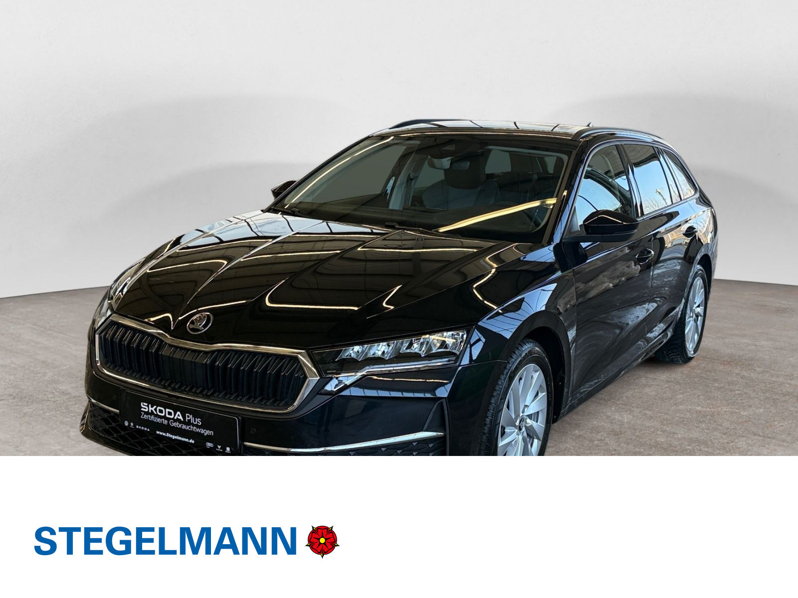 diagonal-frontansicht-aussen