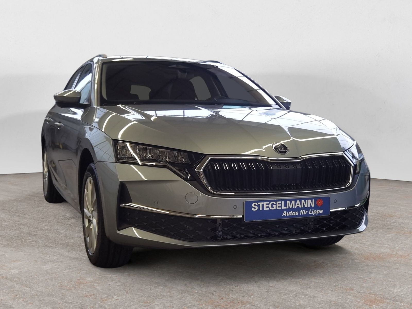 diagonal-frontansicht-aussen