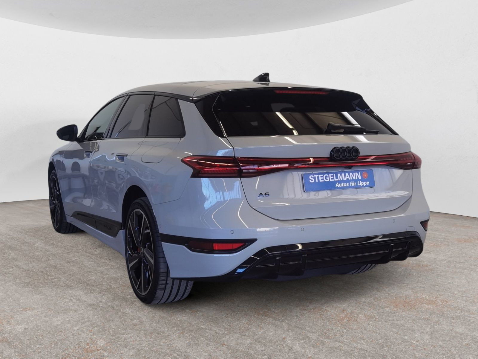 diagonalansicht-hinten-aussen