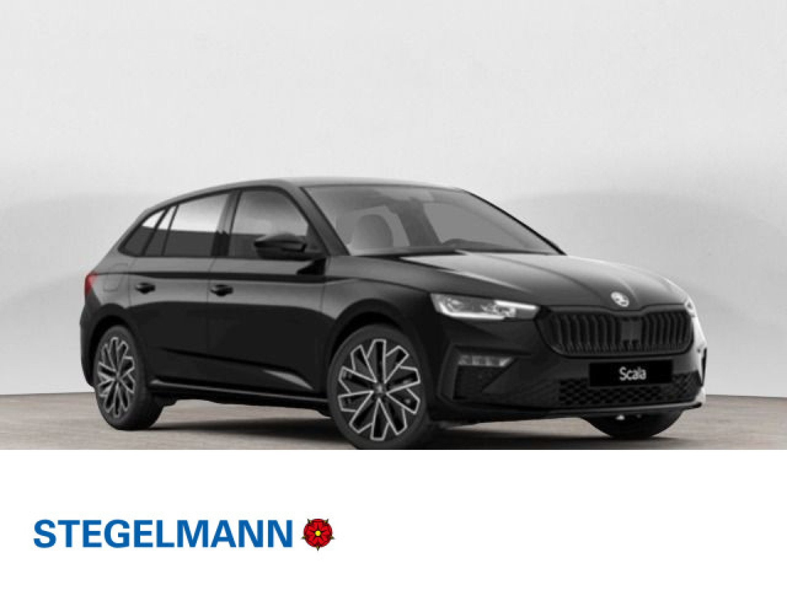 diagonal-frontansicht-aussen