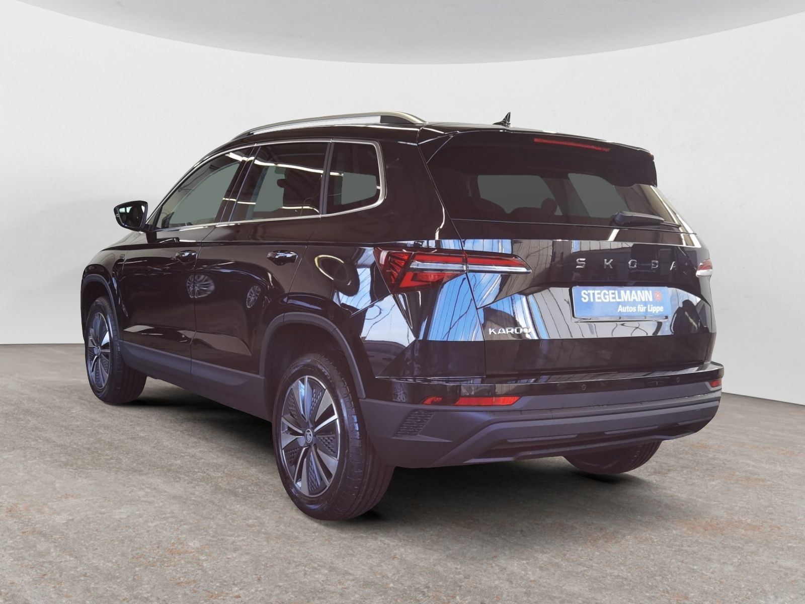 diagonalansicht-hinten-aussen