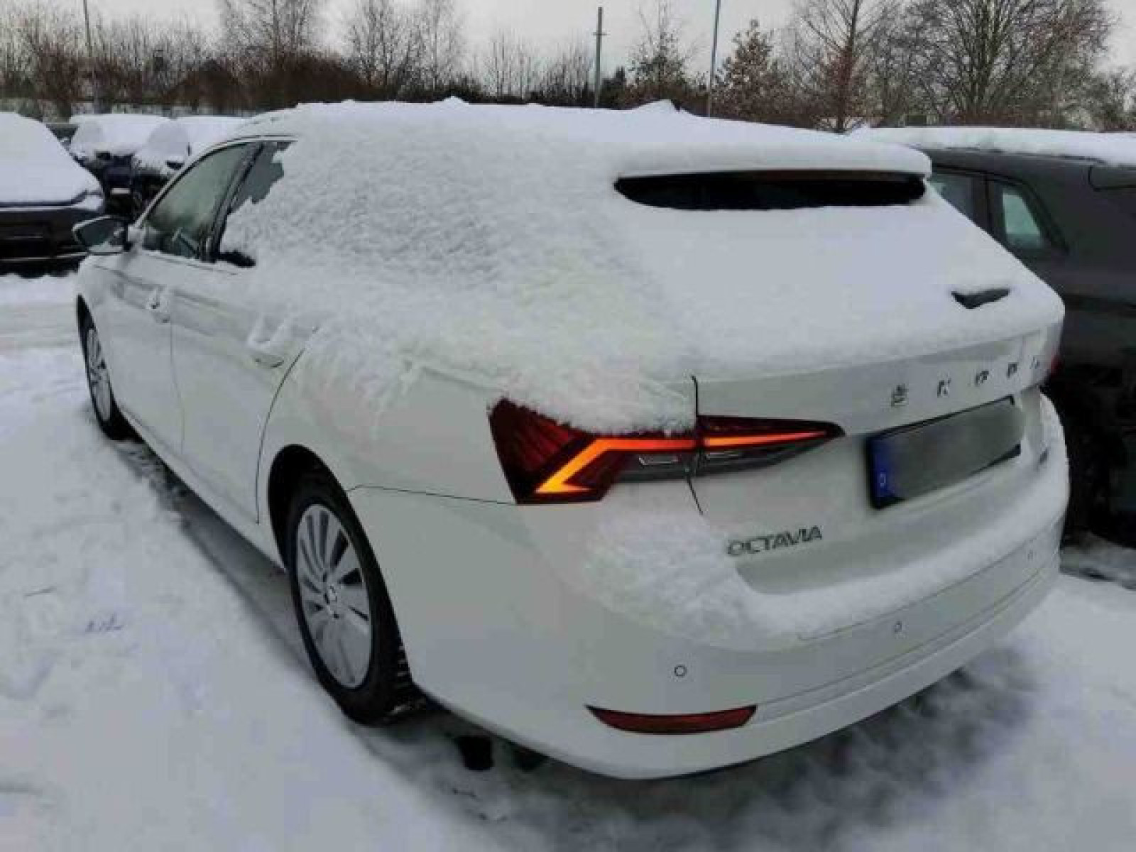 diagonalansicht-hinten-aussen