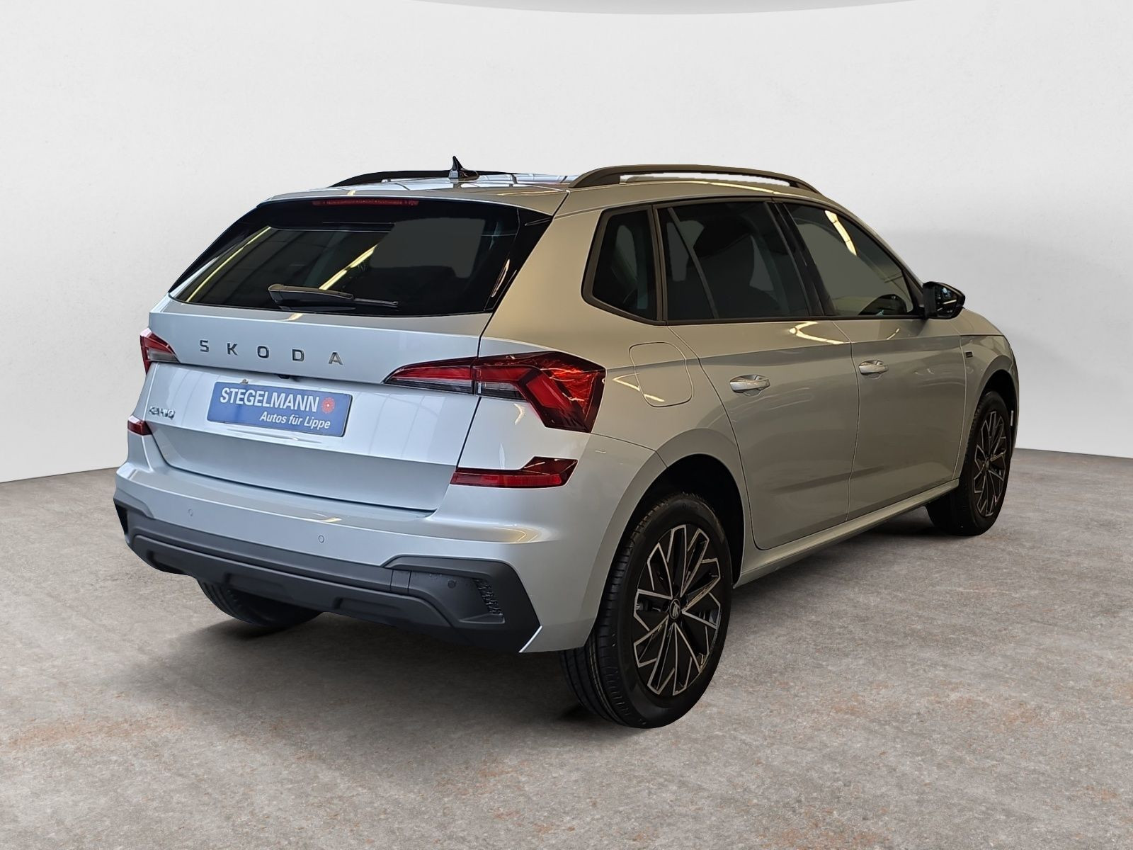 diagonalansicht-hinten-aussen