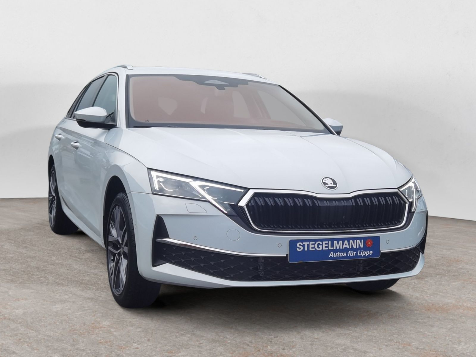 diagonal-frontansicht-aussen