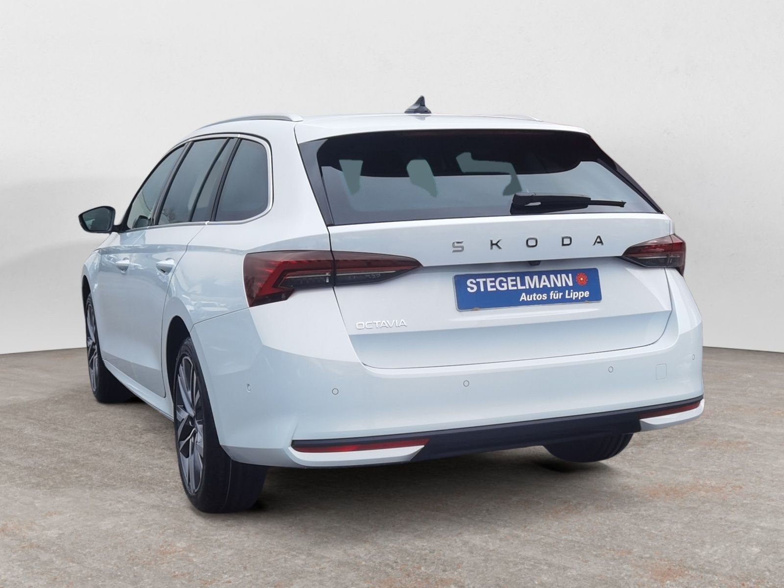 diagonalansicht-hinten-aussen