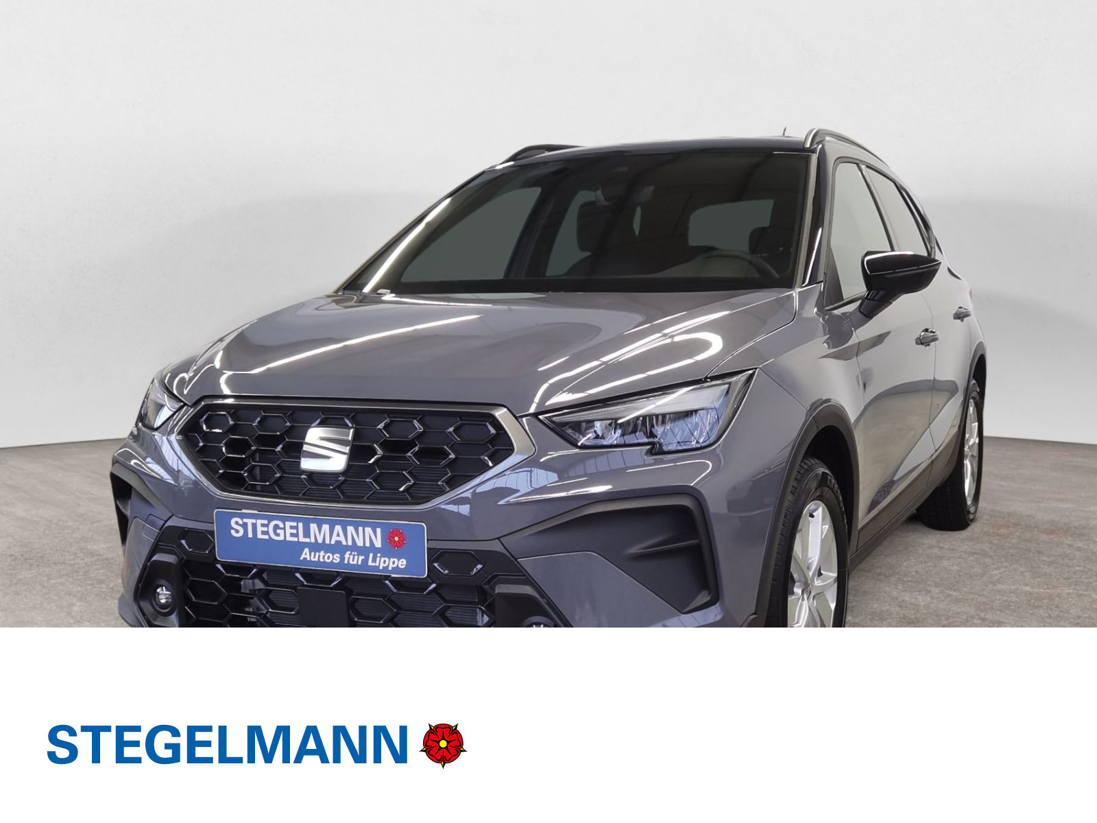 diagonal-frontansicht-aussen