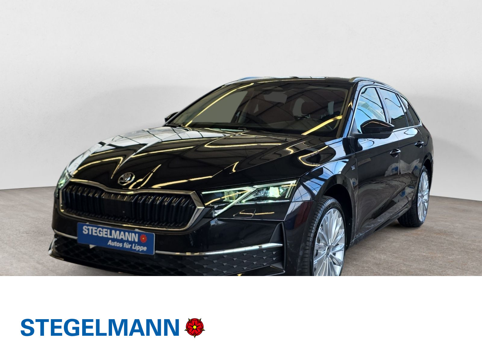 diagonal-frontansicht-aussen