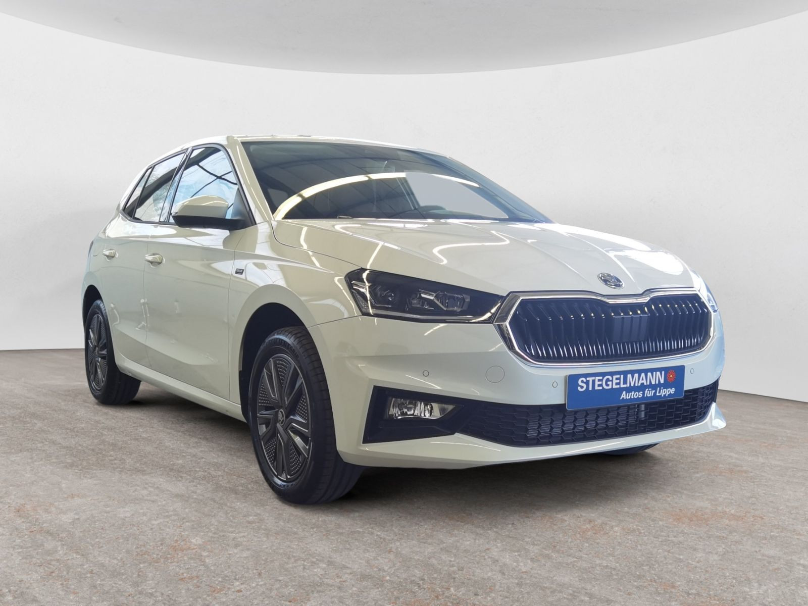 diagonal-frontansicht-aussen