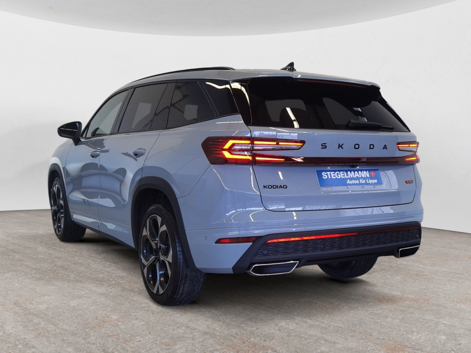 diagonalansicht-hinten-aussen