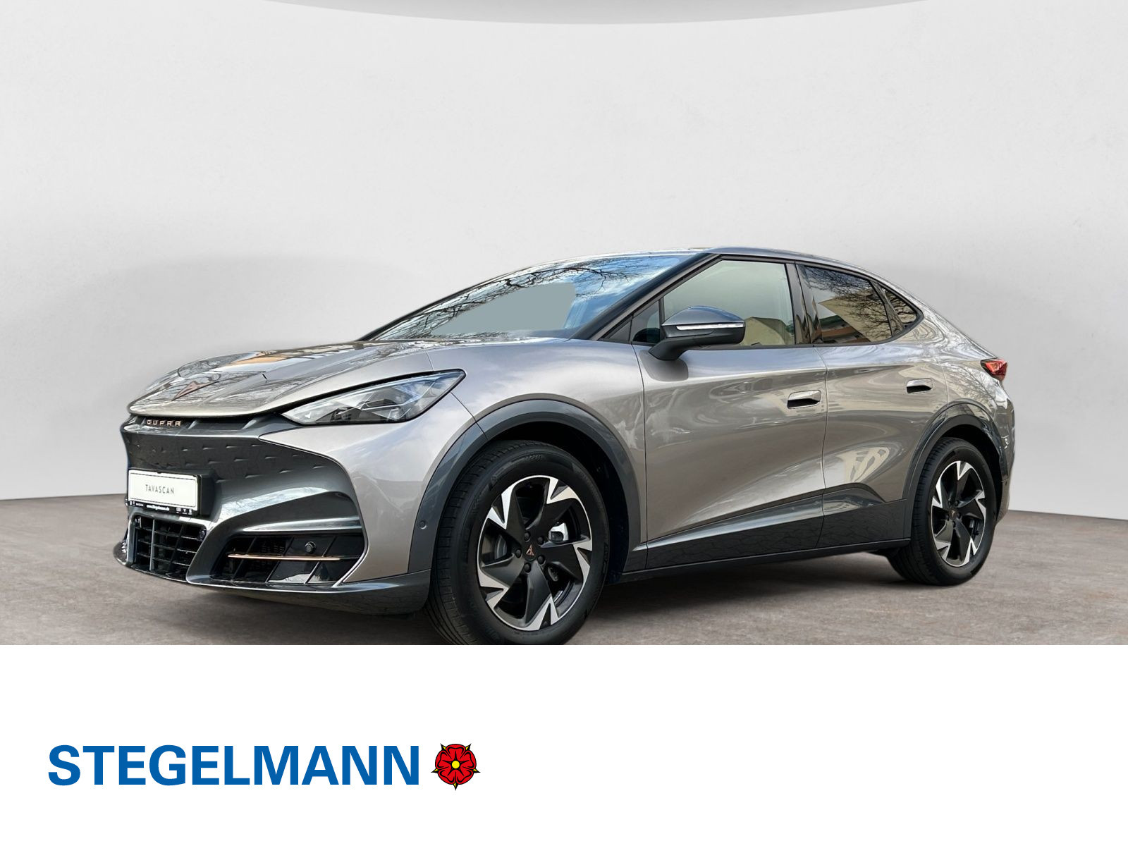 diagonal-frontansicht-aussen