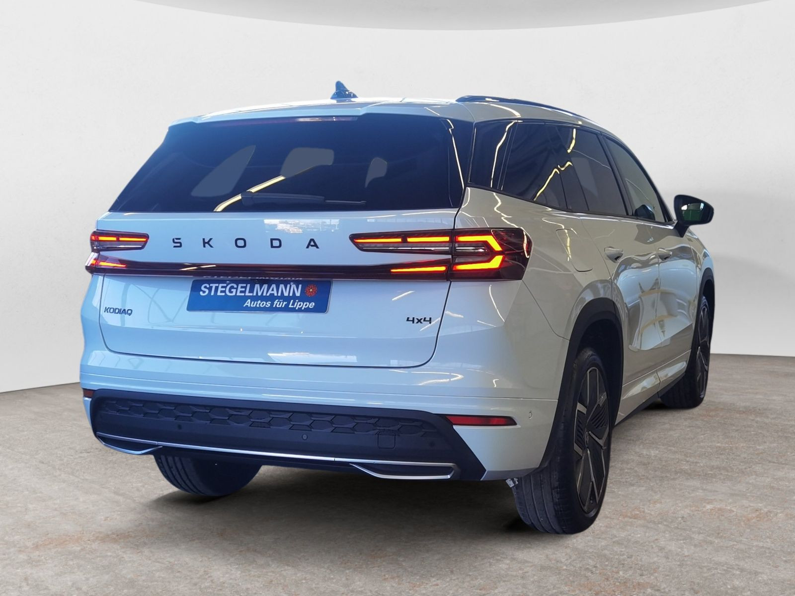 diagonalansicht-hinten-aussen