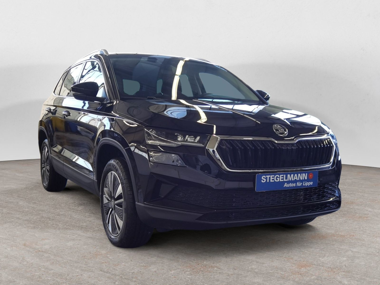 diagonal-frontansicht-aussen