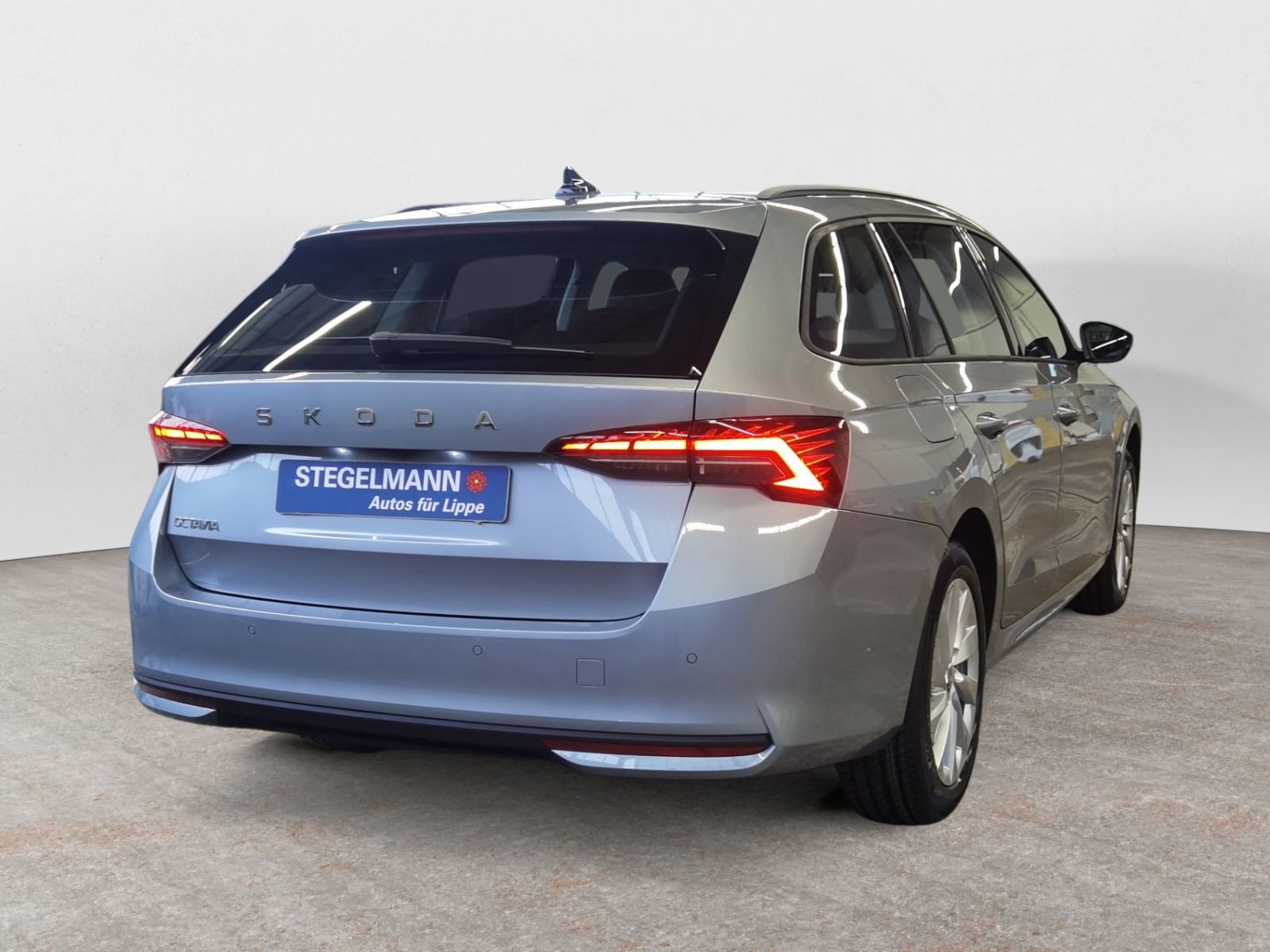 diagonalansicht-hinten-aussen