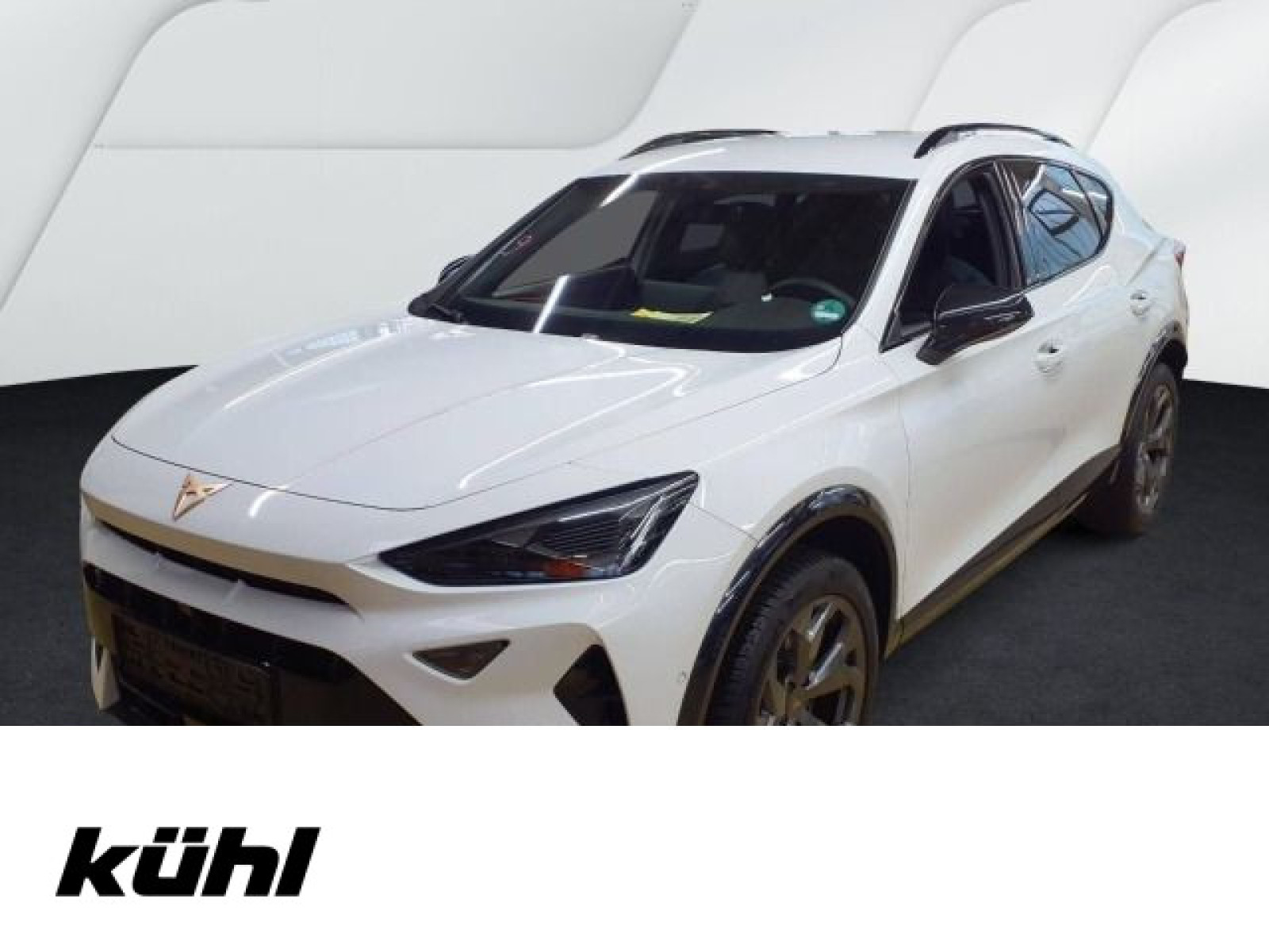 diagonal-frontansicht-aussen