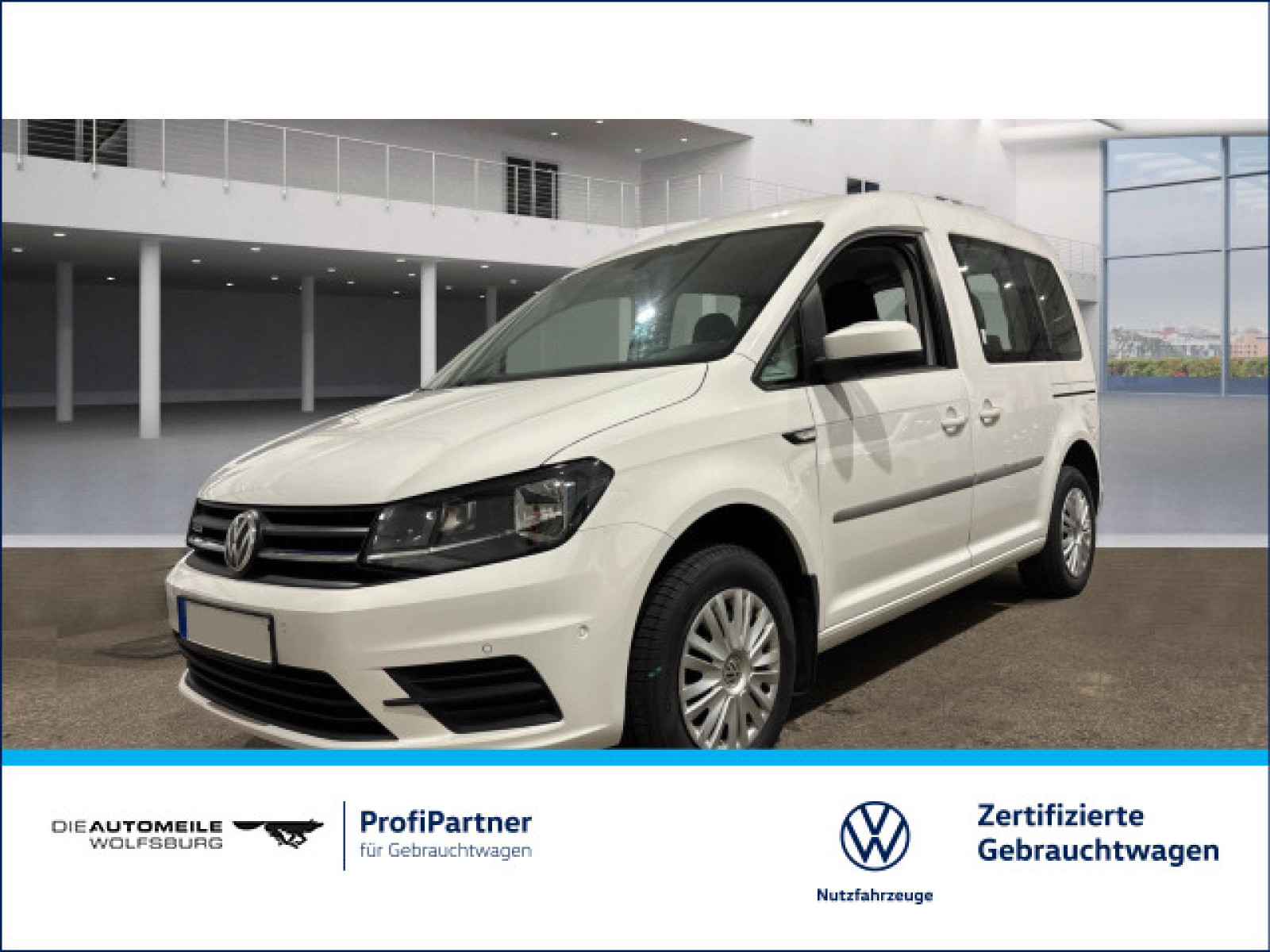 Caddy Kombi 1.4 TGI Erdgas DSG Trendline AHK/FLÜGEL/SITZHZ