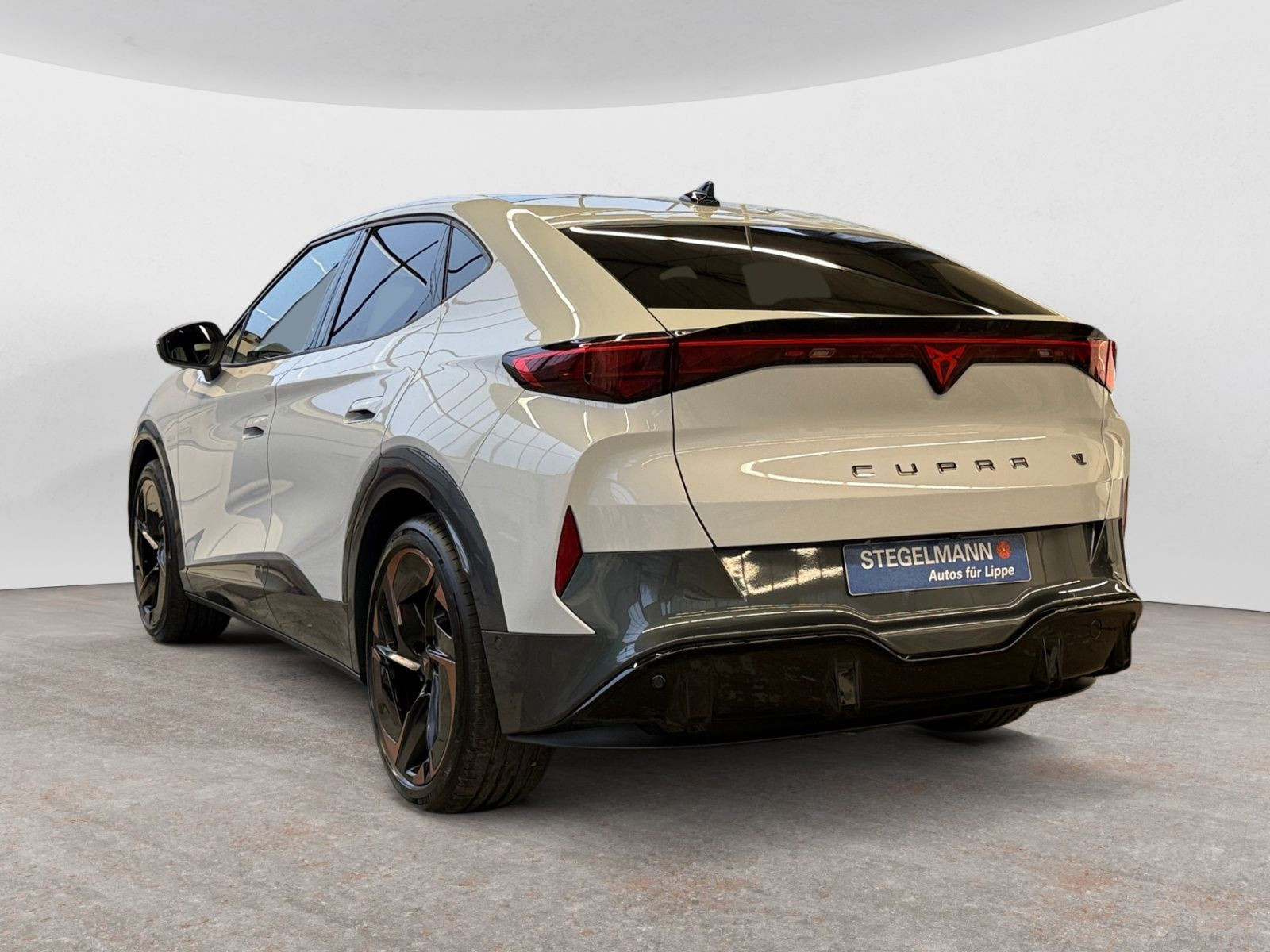 diagonalansicht-hinten-aussen