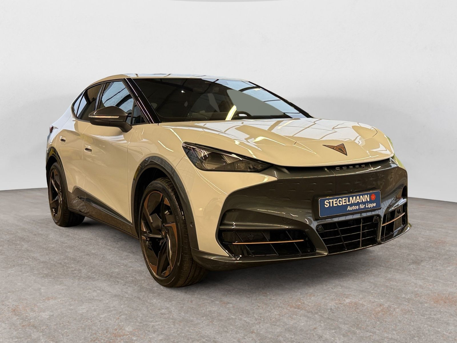 diagonal-frontansicht-aussen