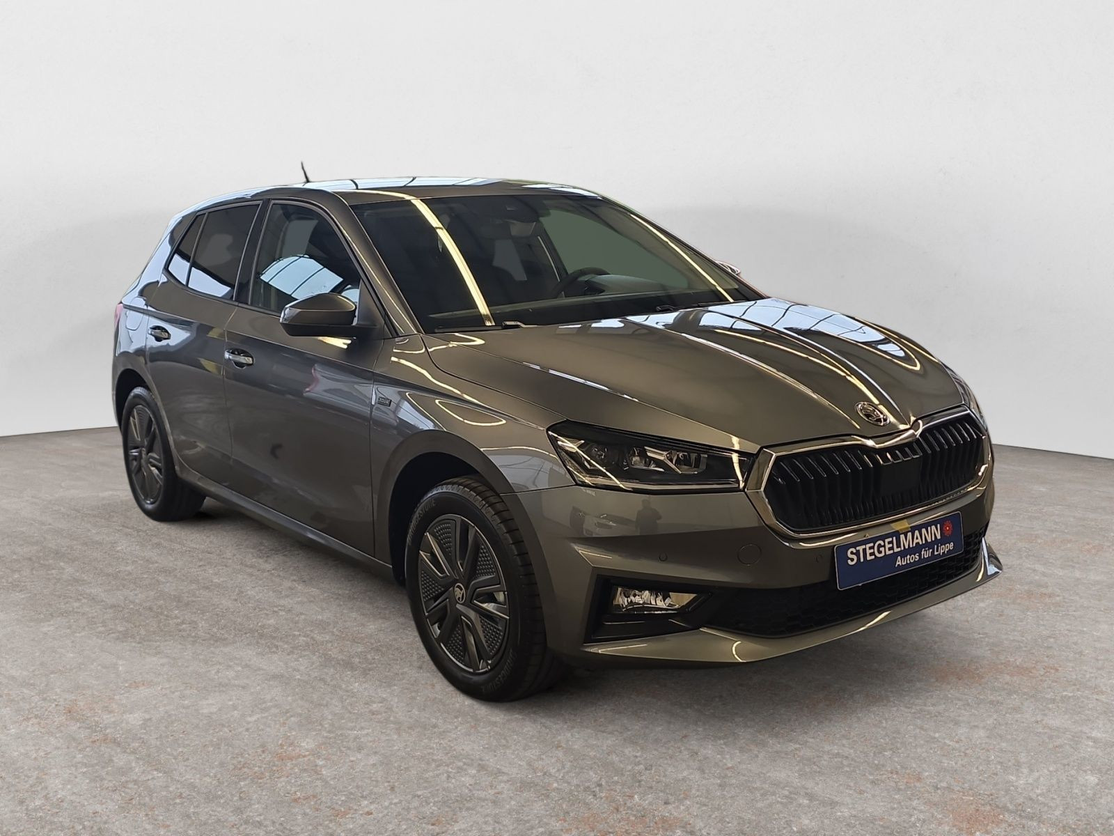 diagonal-frontansicht-aussen