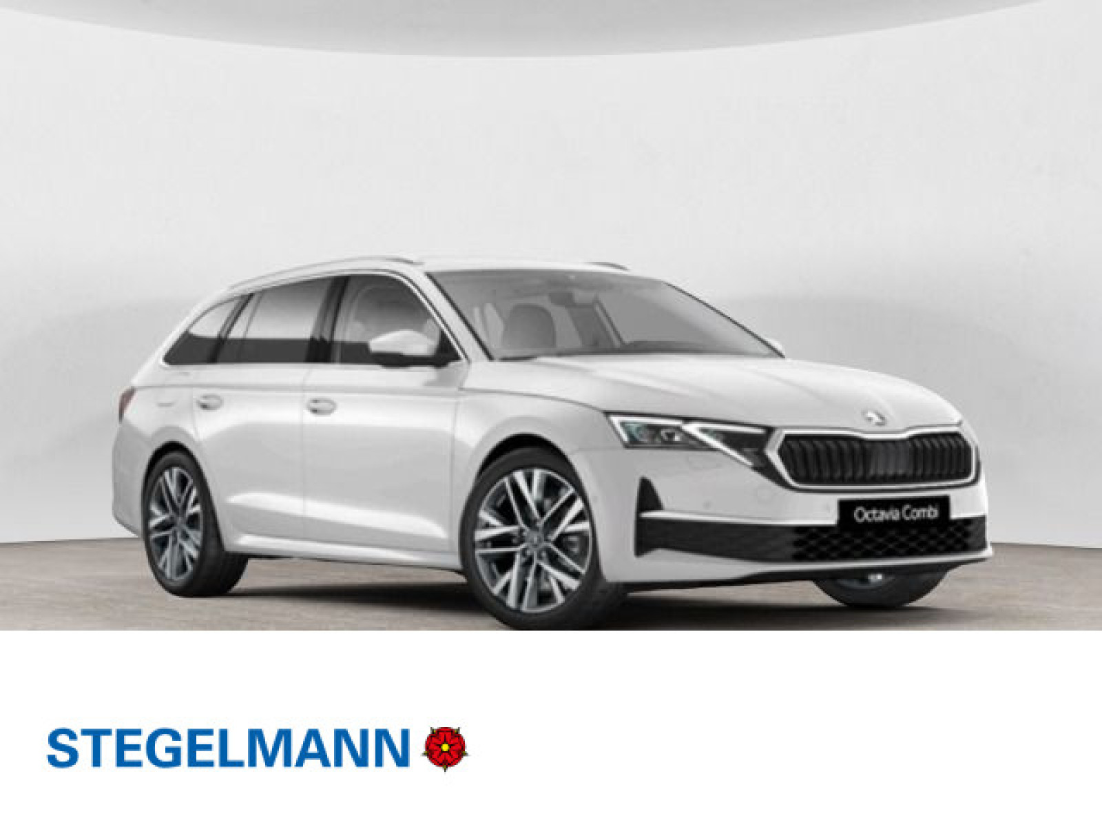 diagonal-frontansicht-aussen