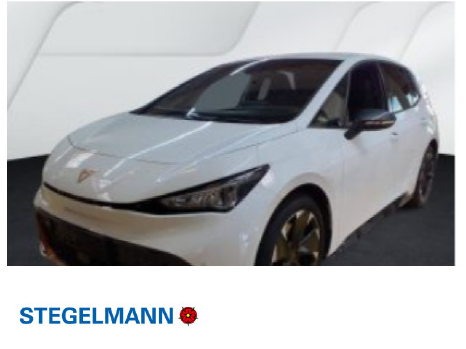 Born 170kW/77kWh *LED*Navi*Kamera*