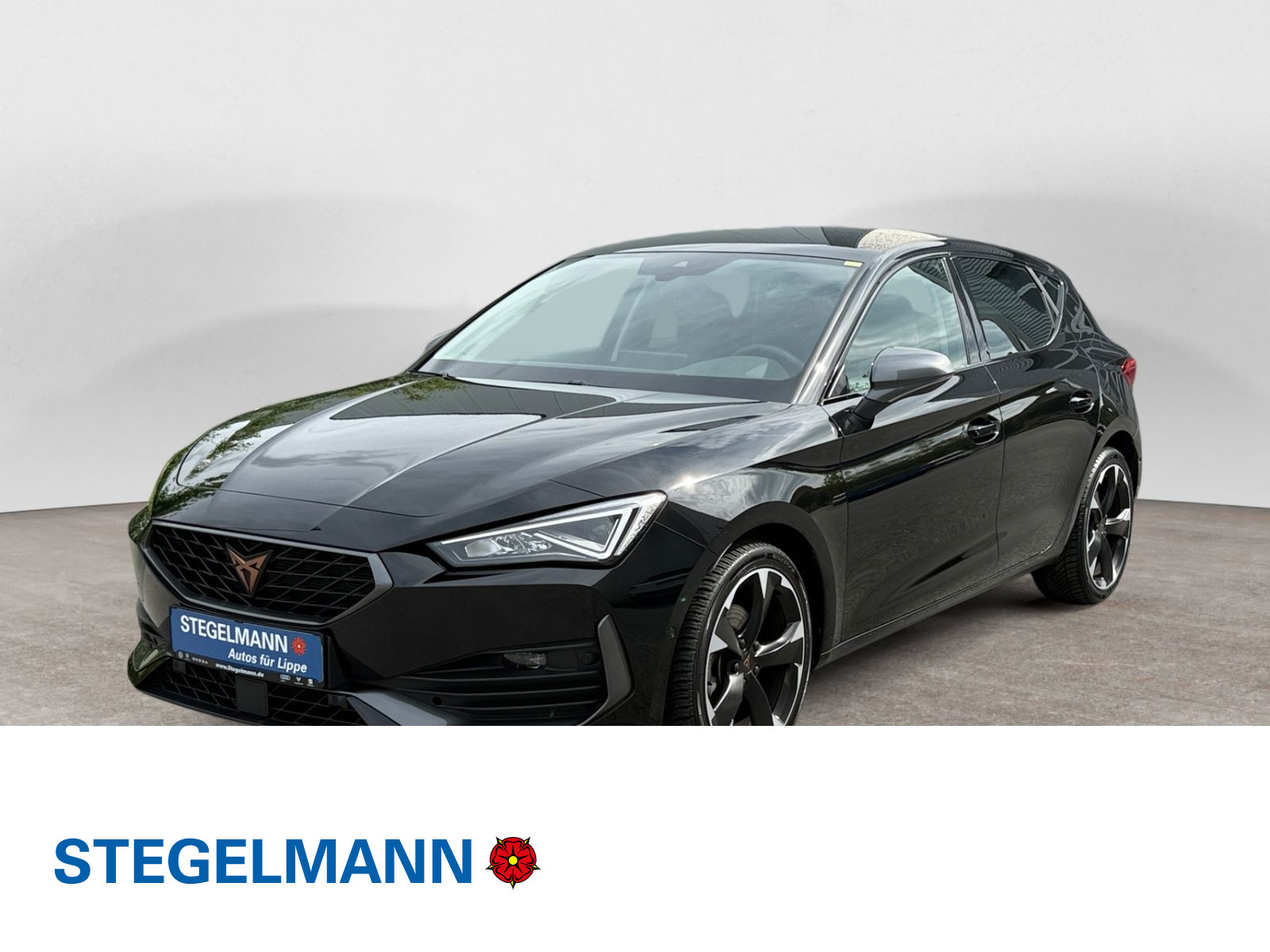 Leon 2.0 TDI DSG Vision-Plus-Paket *LED*AHK*Navi*