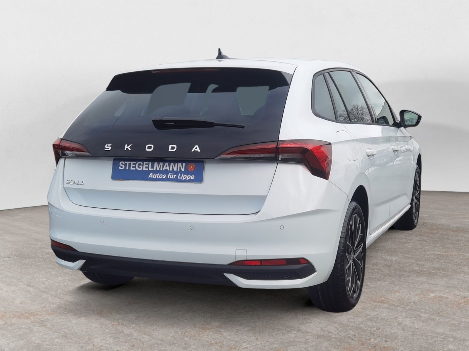 diagonalansicht-hinten-aussen