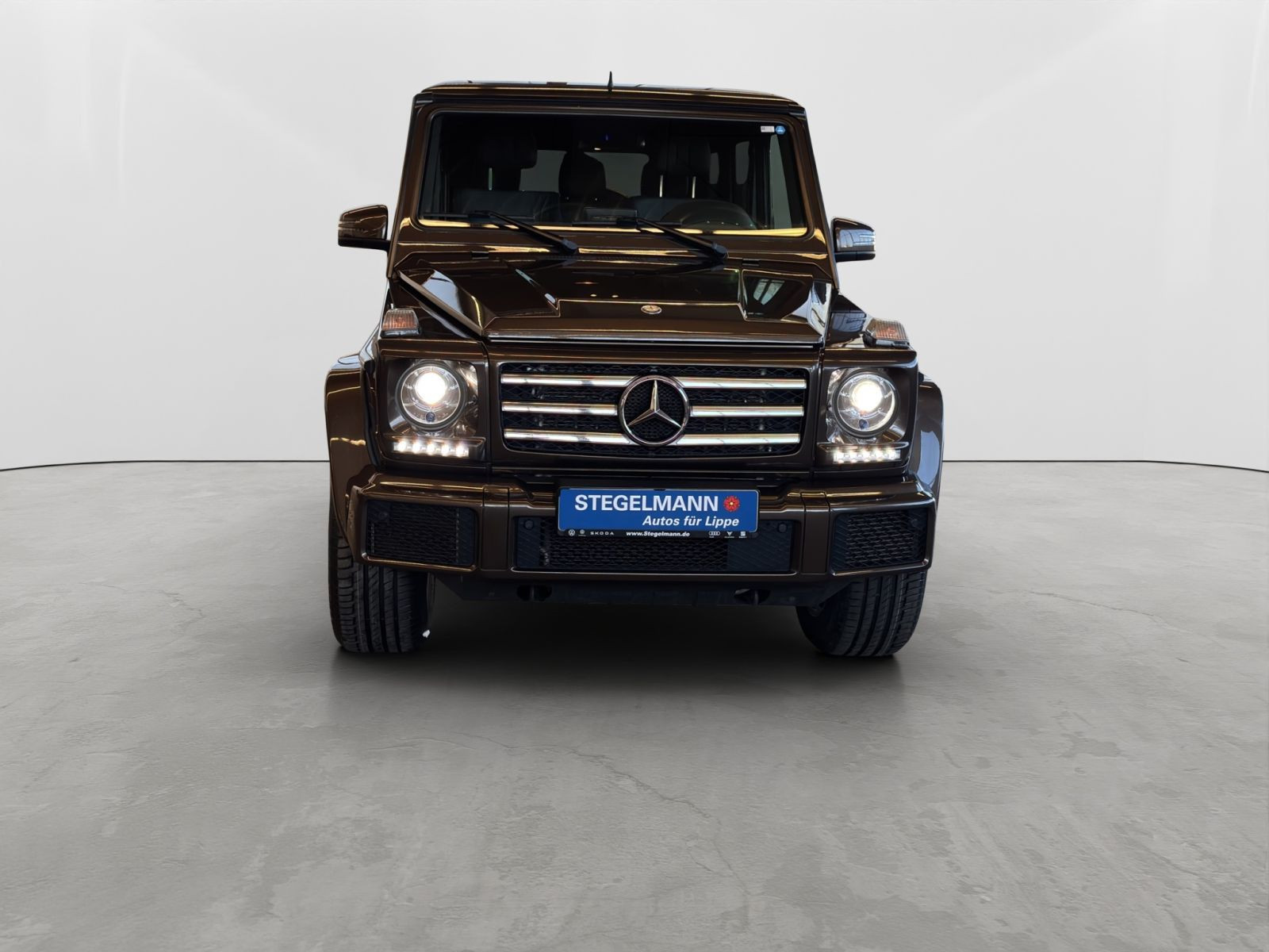 Mercedes-Benz - G 350_9