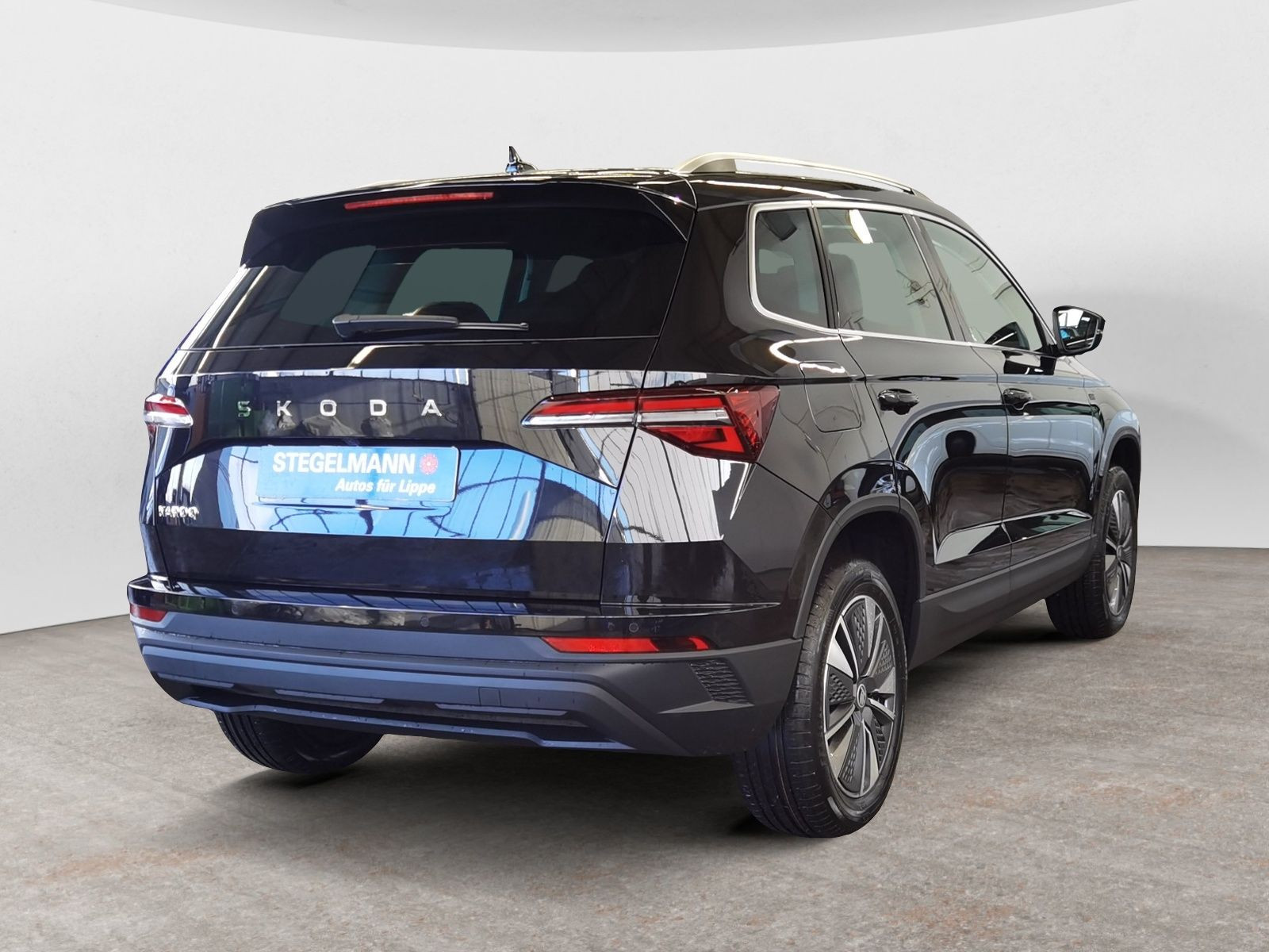 diagonalansicht-hinten-aussen