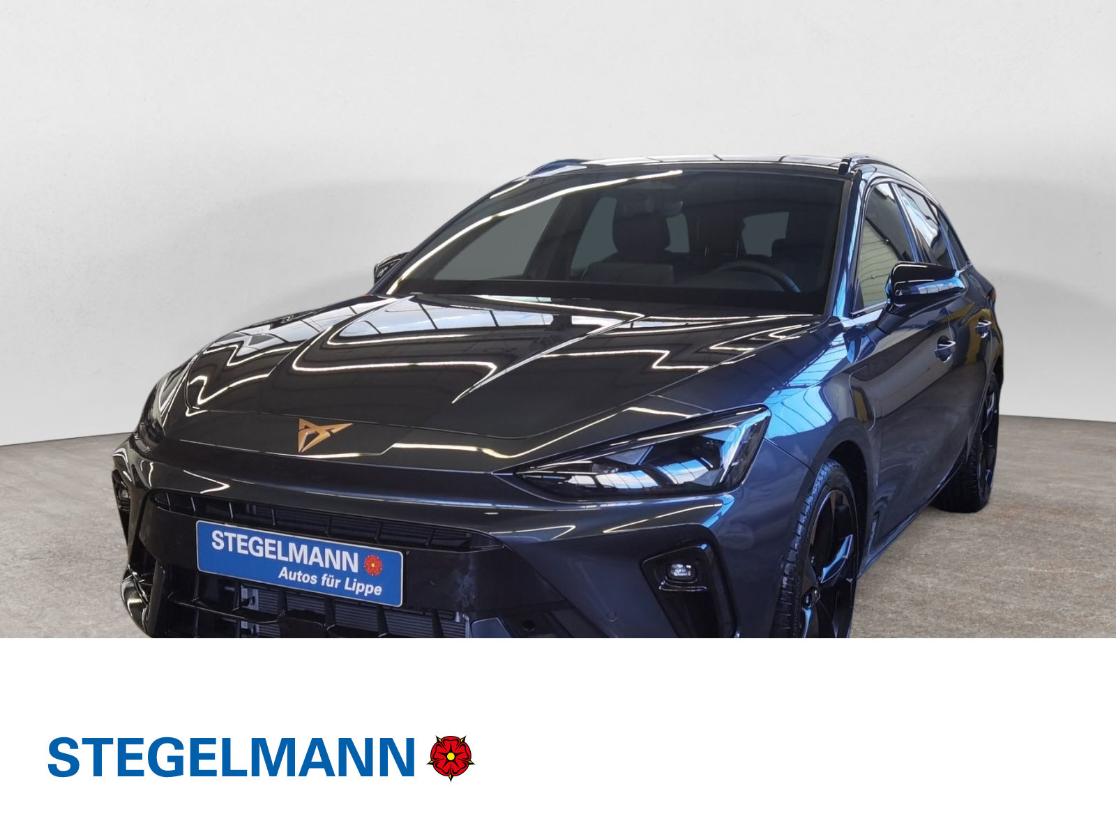 diagonal-frontansicht-aussen