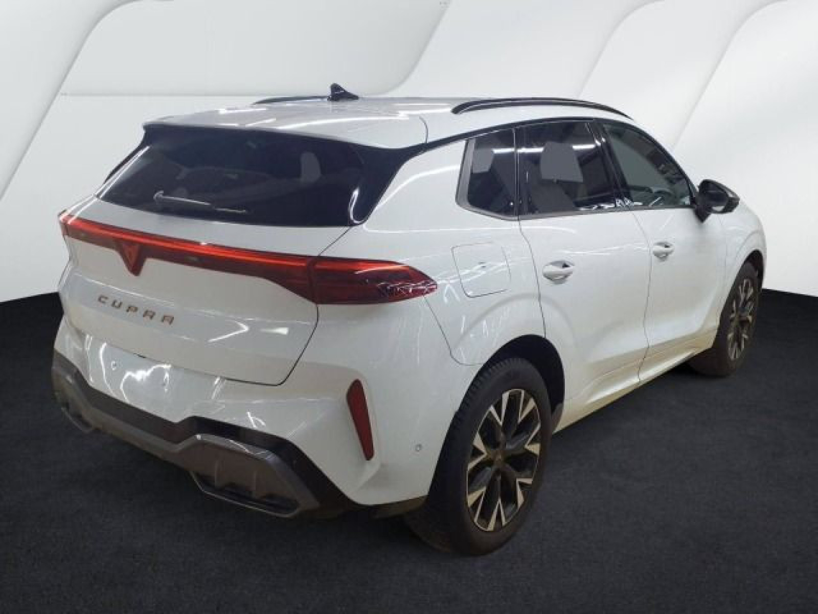 diagonalansicht-hinten-aussen