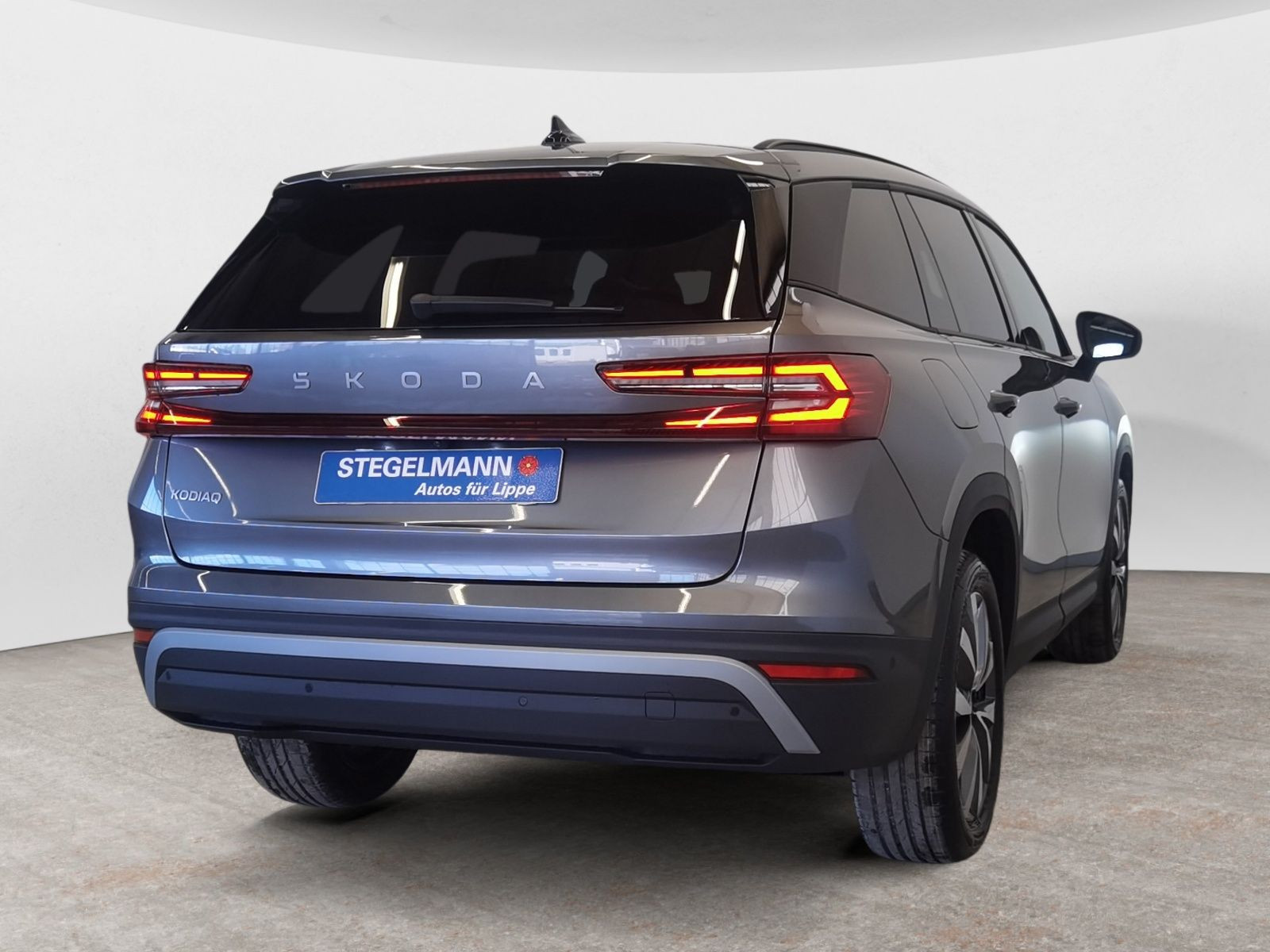 diagonalansicht-hinten-aussen