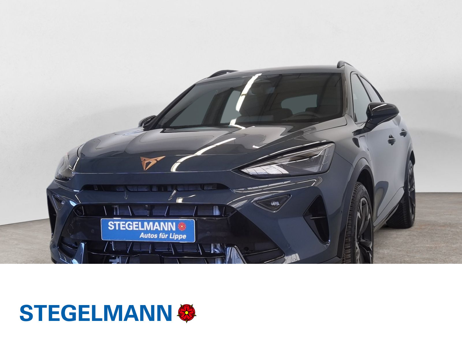 diagonal-frontansicht-aussen