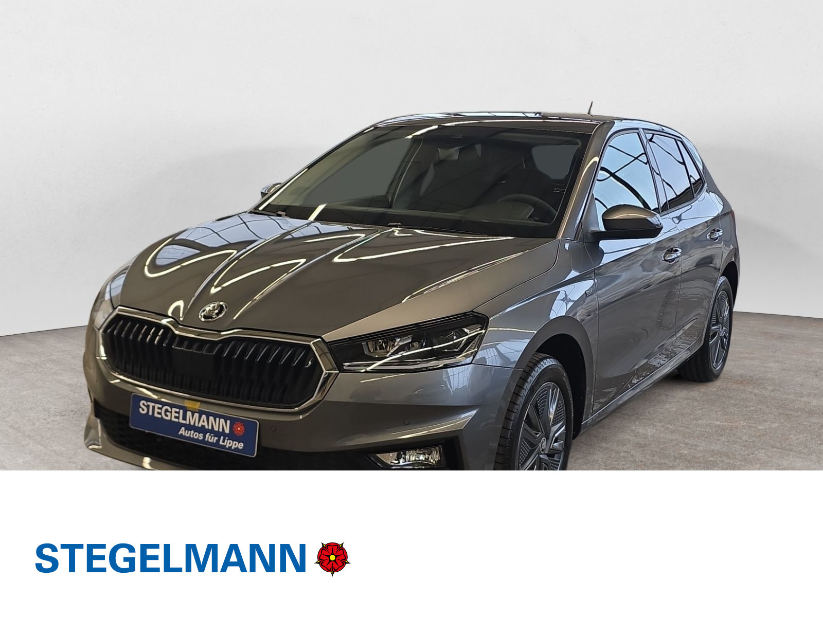 diagonal-frontansicht-aussen